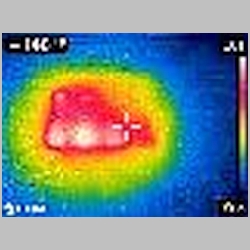 FLIR0554.jpg
