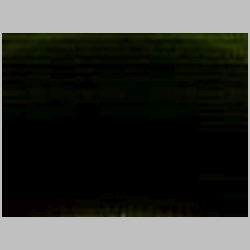 FLIR0557.jpg