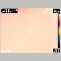 FLIR0596.jpg